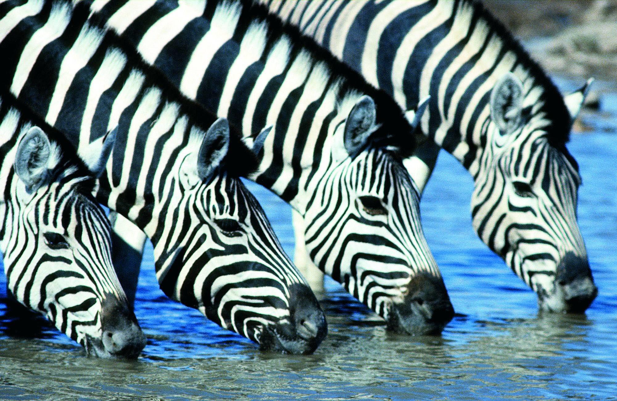 The Ekipa Etosha