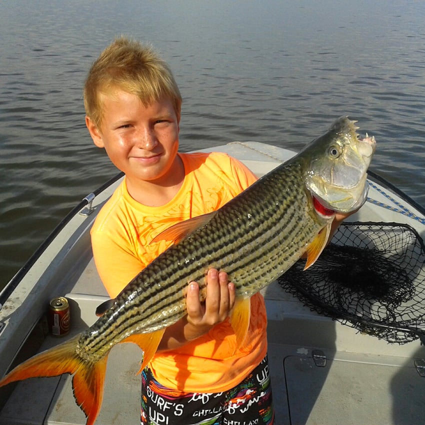 9 year old boy with big tigerfish, Namibia