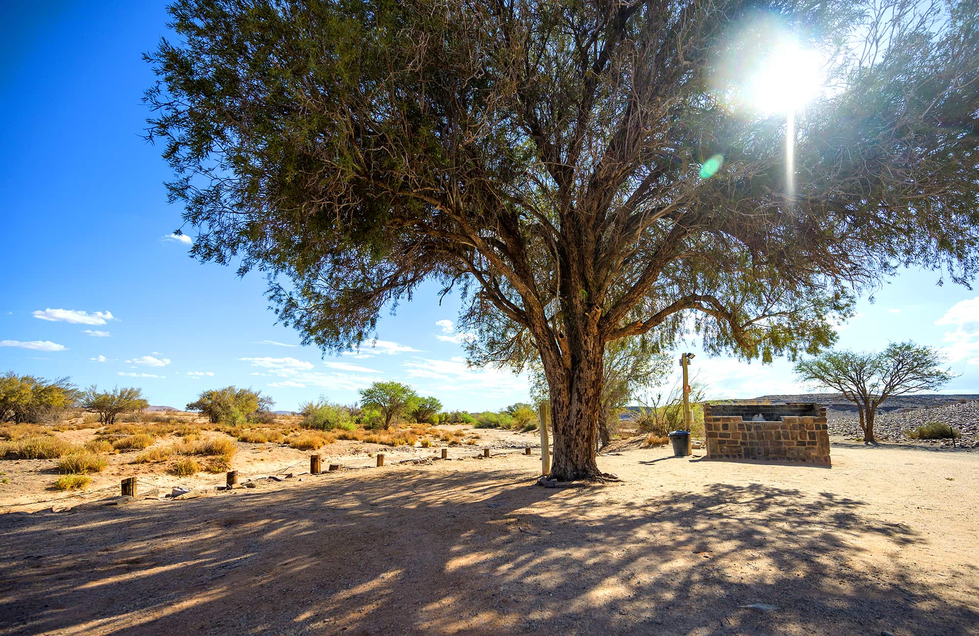 Canyon Road Campsite