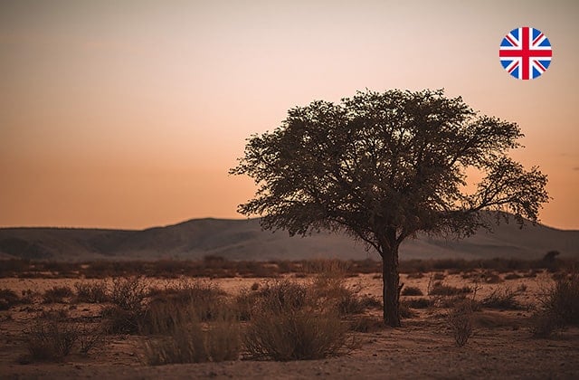 Gondwana-Collection-Namibian-News