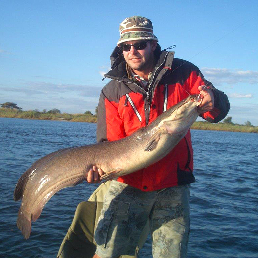 Catfish, Namibia