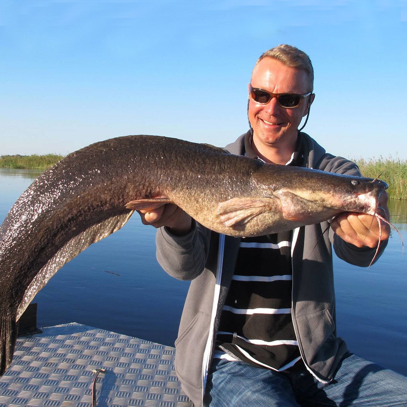 Fisherman with huge catfish, Zambezi, Namibia