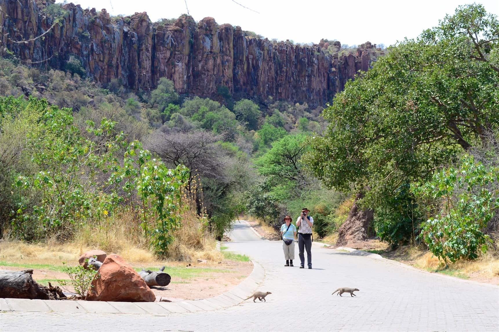 Waterberg Plateau Park