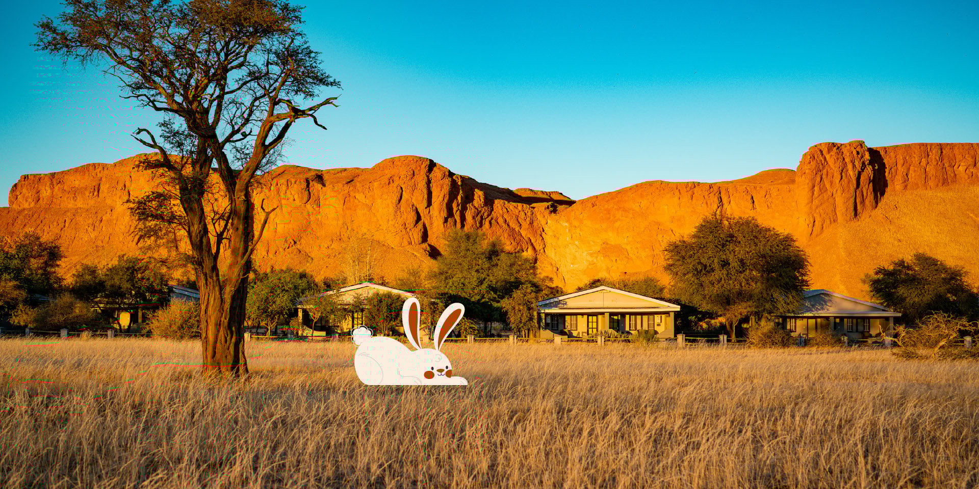 Petrified dunes, Namib Desert, Easter bunny