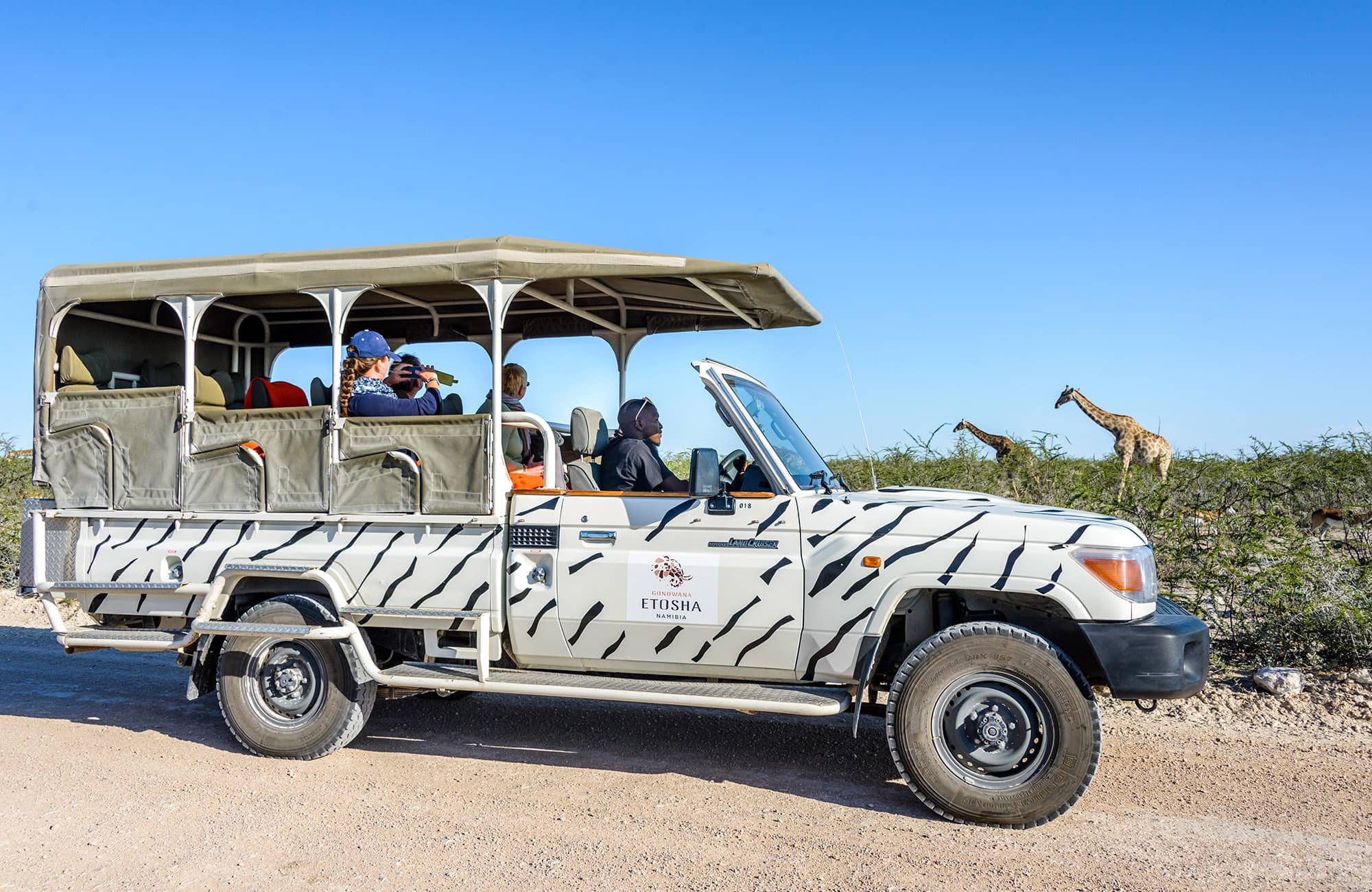 Etosha Safari Camping2go