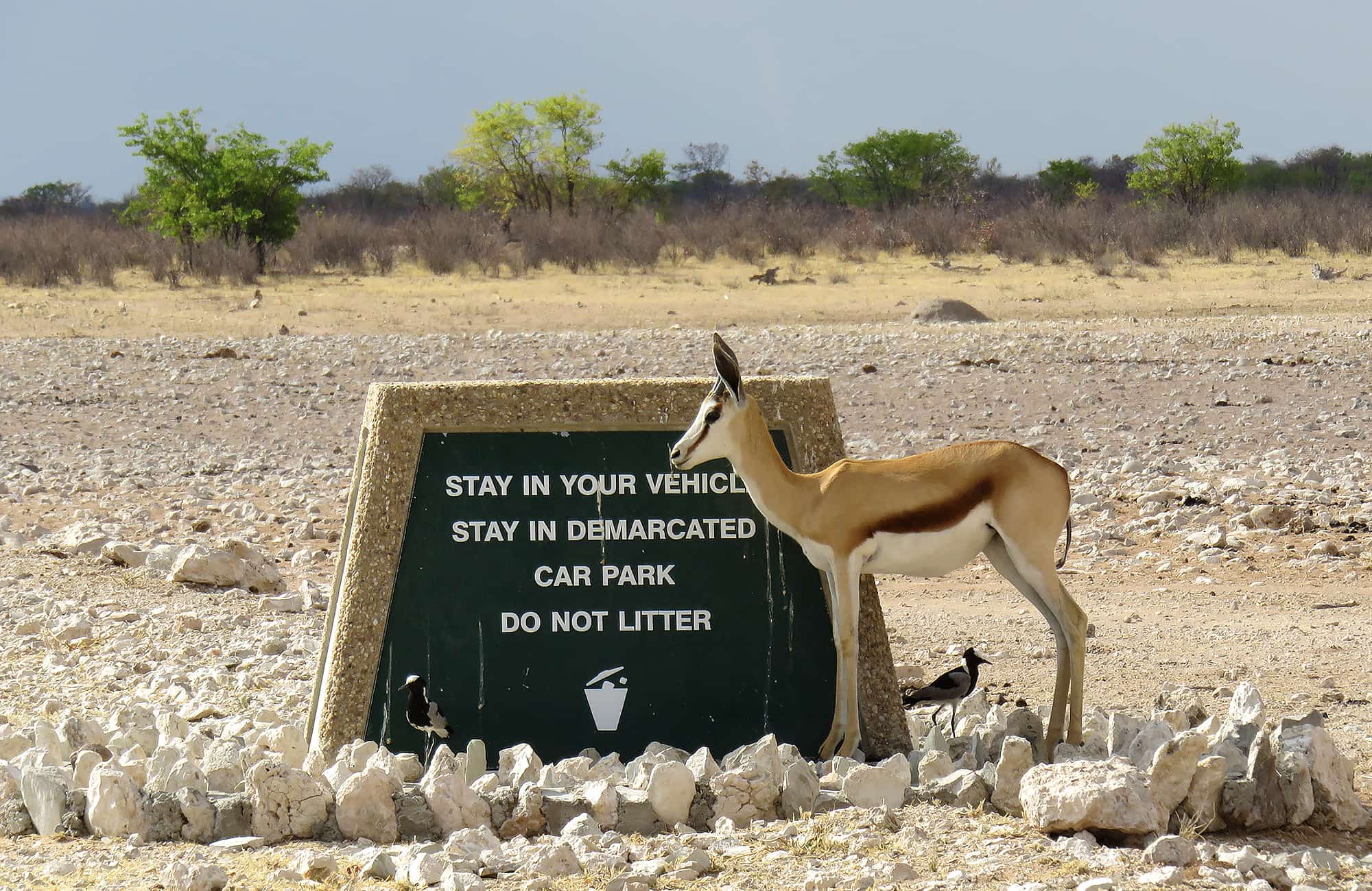 Etosha Safari Campsite