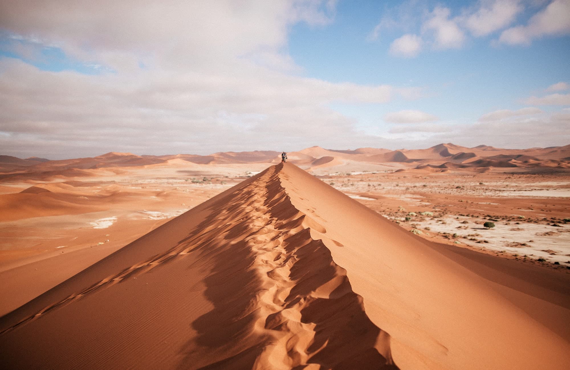 Namib dunes, Sossusvlei, Namibia