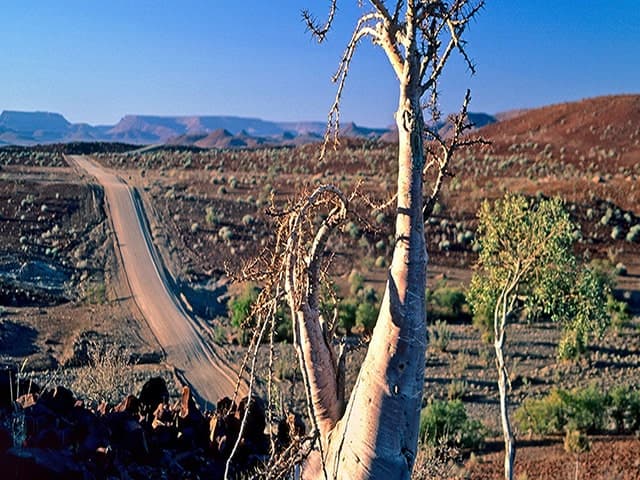 Gondwana-Collection-Damaraland-Experience