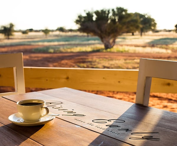 Acacia in Namibia