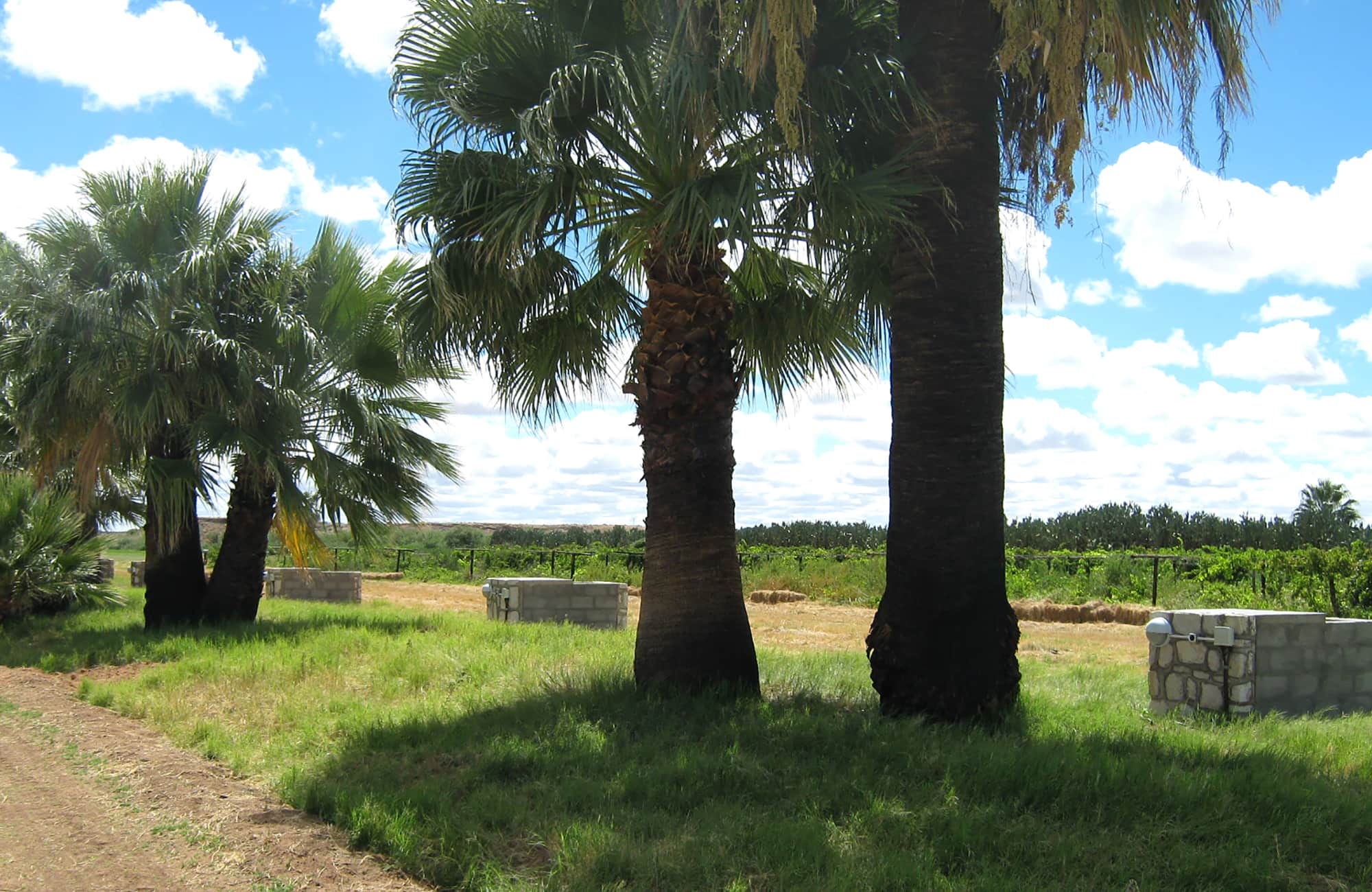Kalahari Farm Campsite