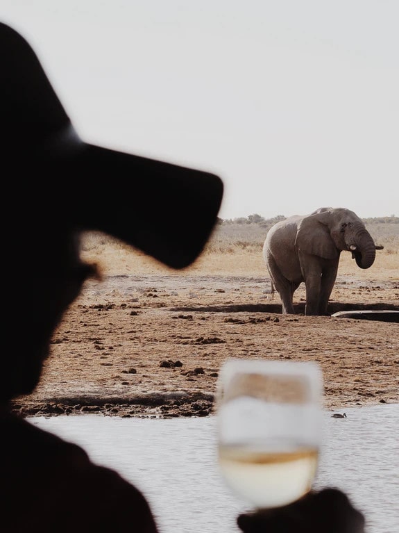 Etosha King Nehale