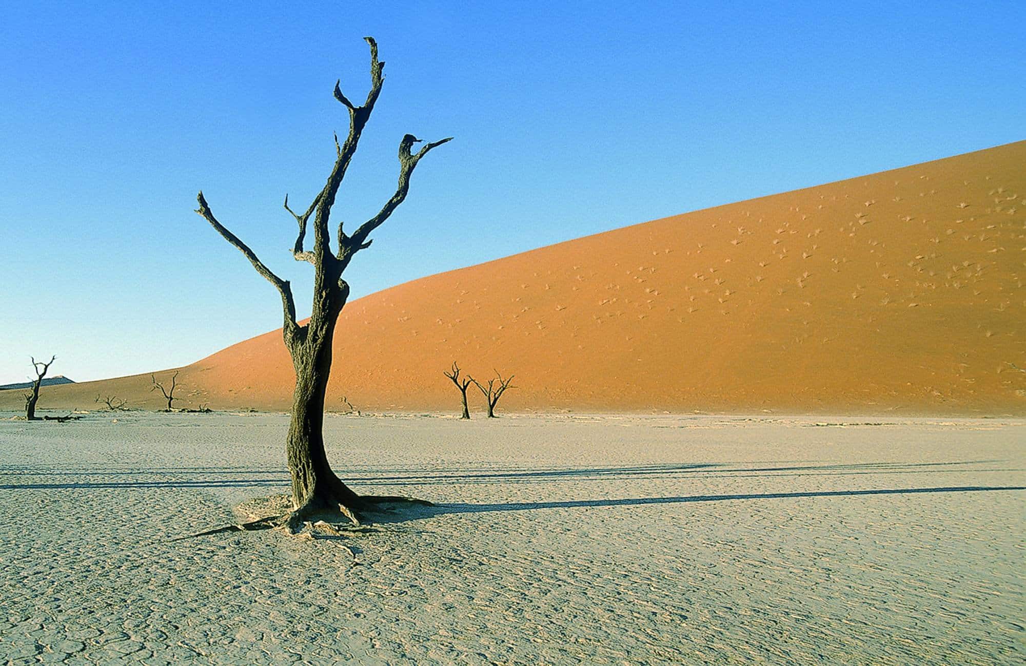 Namib Desert Camping2go