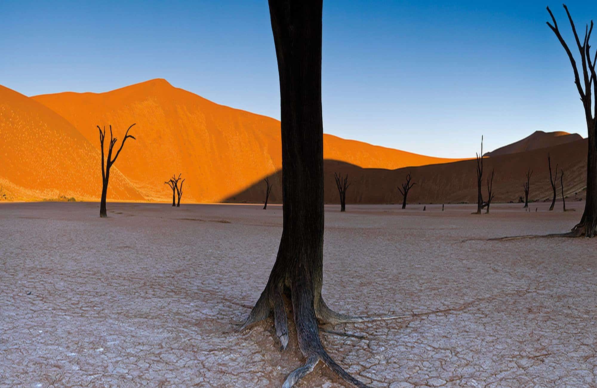 Namib Desert Lodge