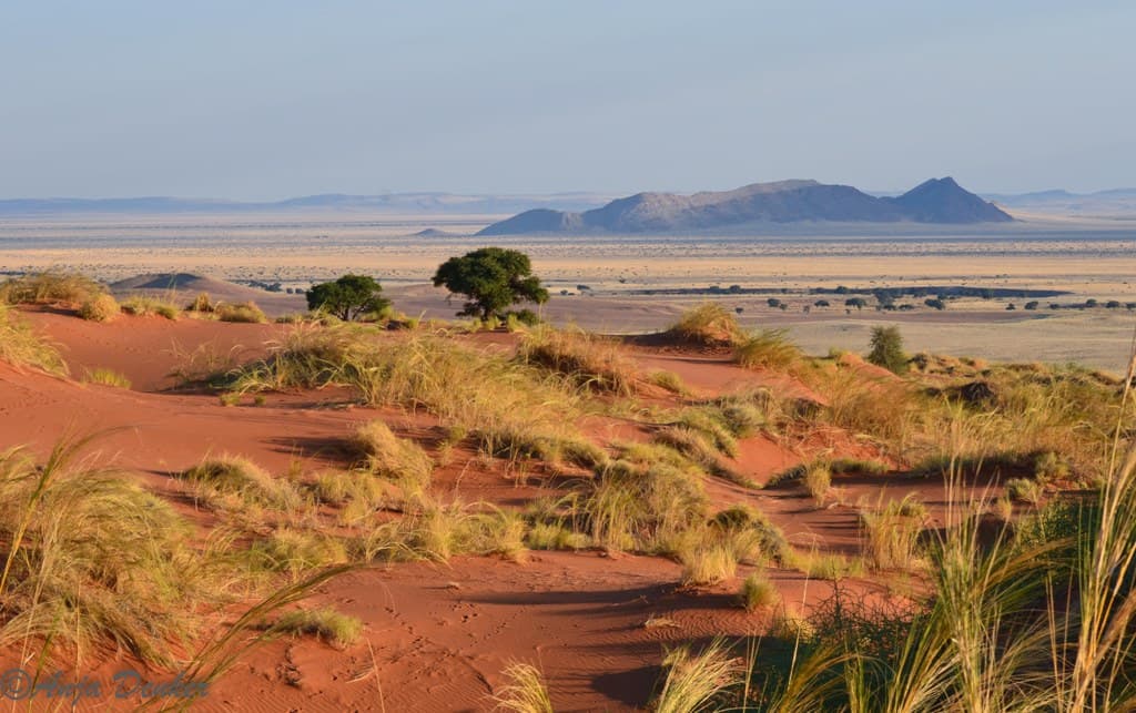 Here are 10 Reasons to never visit Namibia
