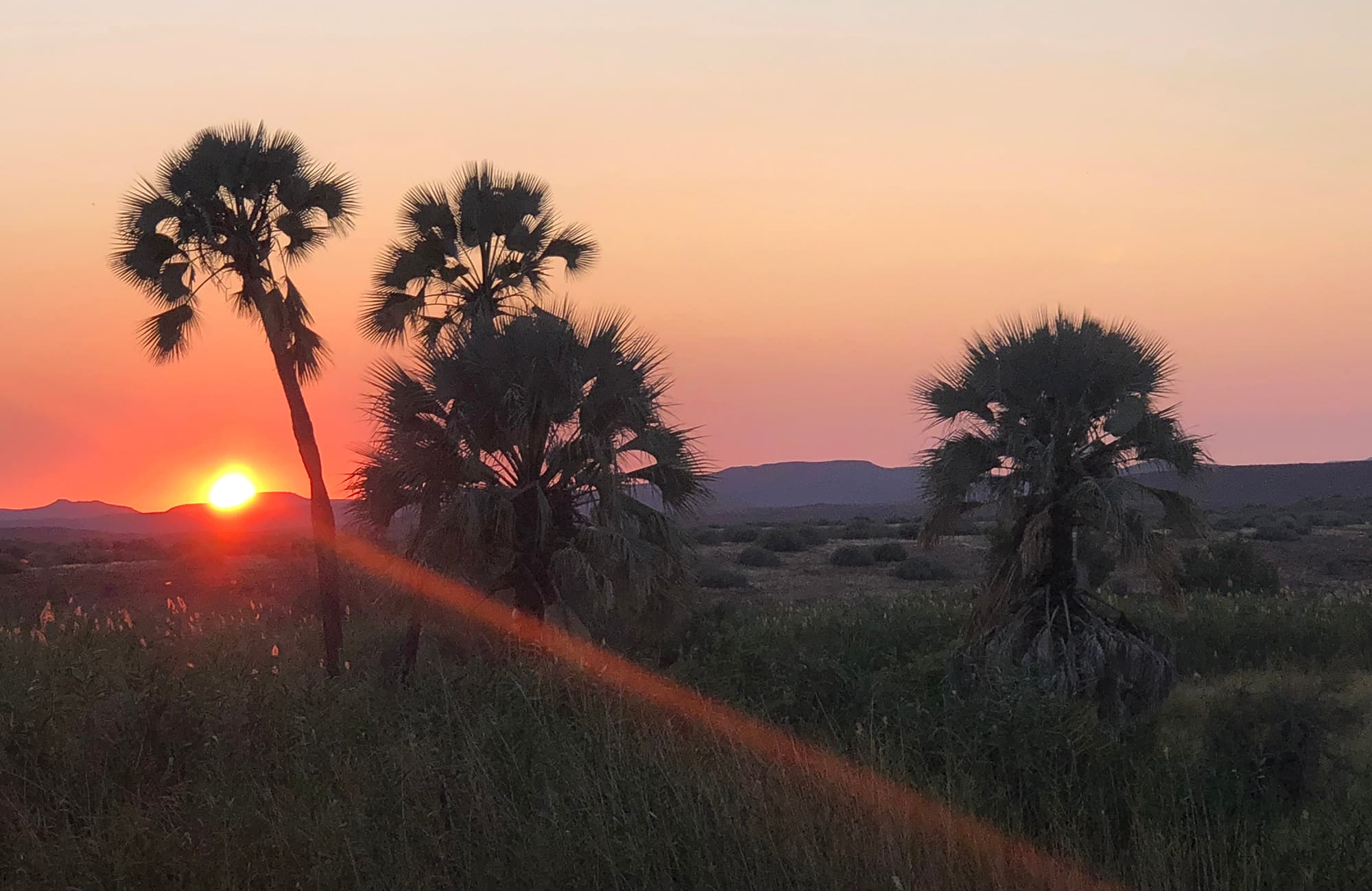 Palmwag Camping2go
