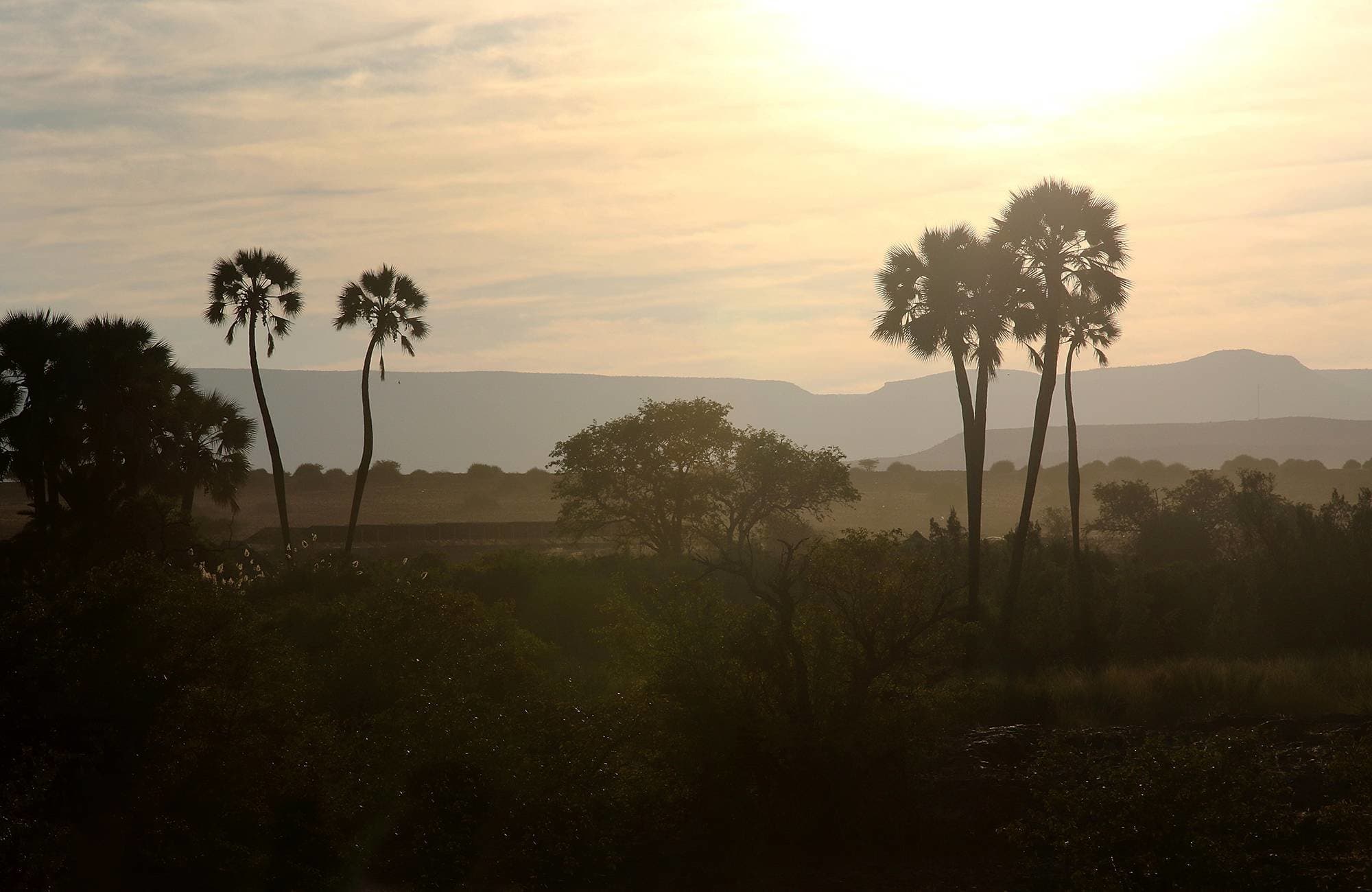 Palmwag Campsite