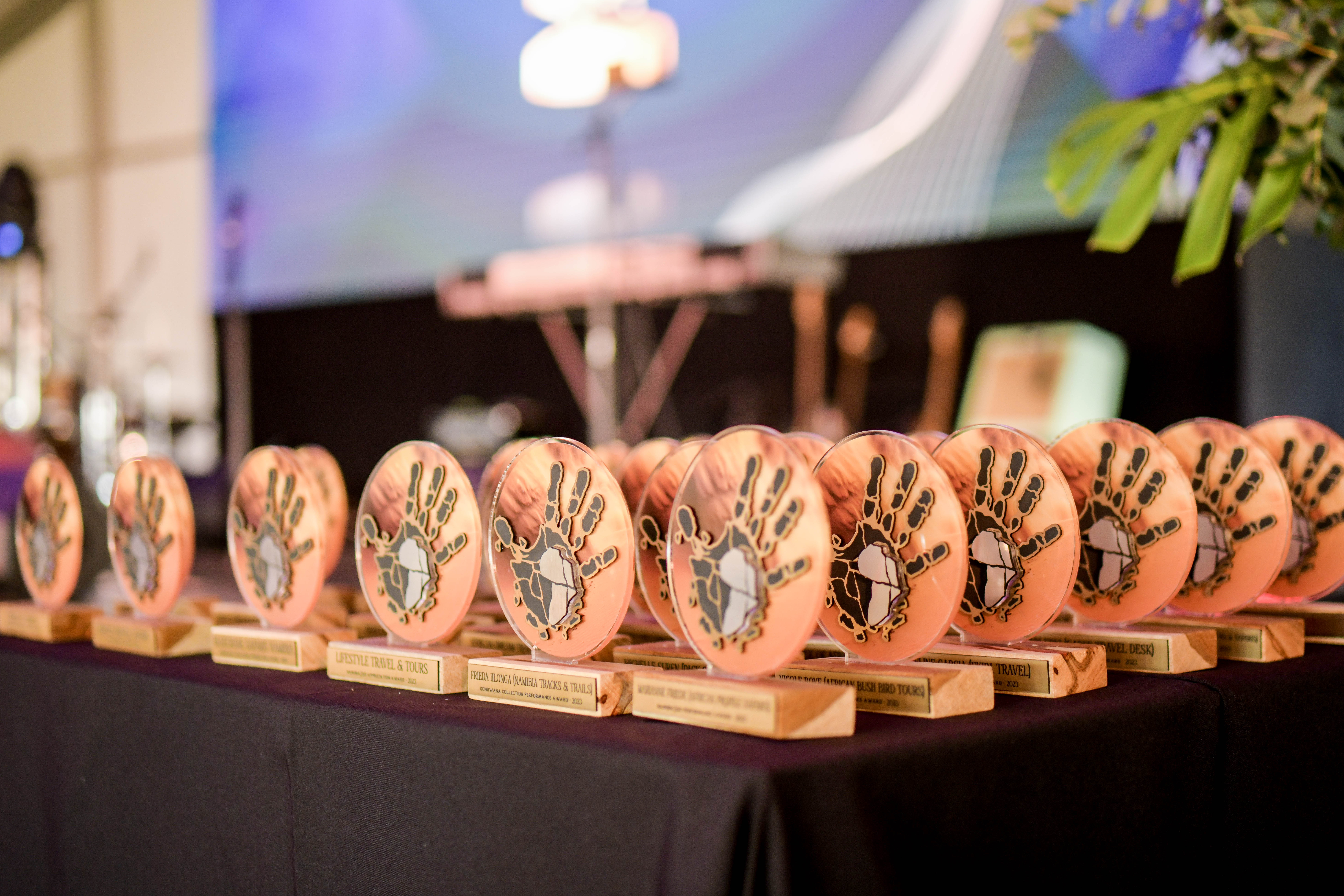 Gondwana Collection Namibia Appreciation Awards