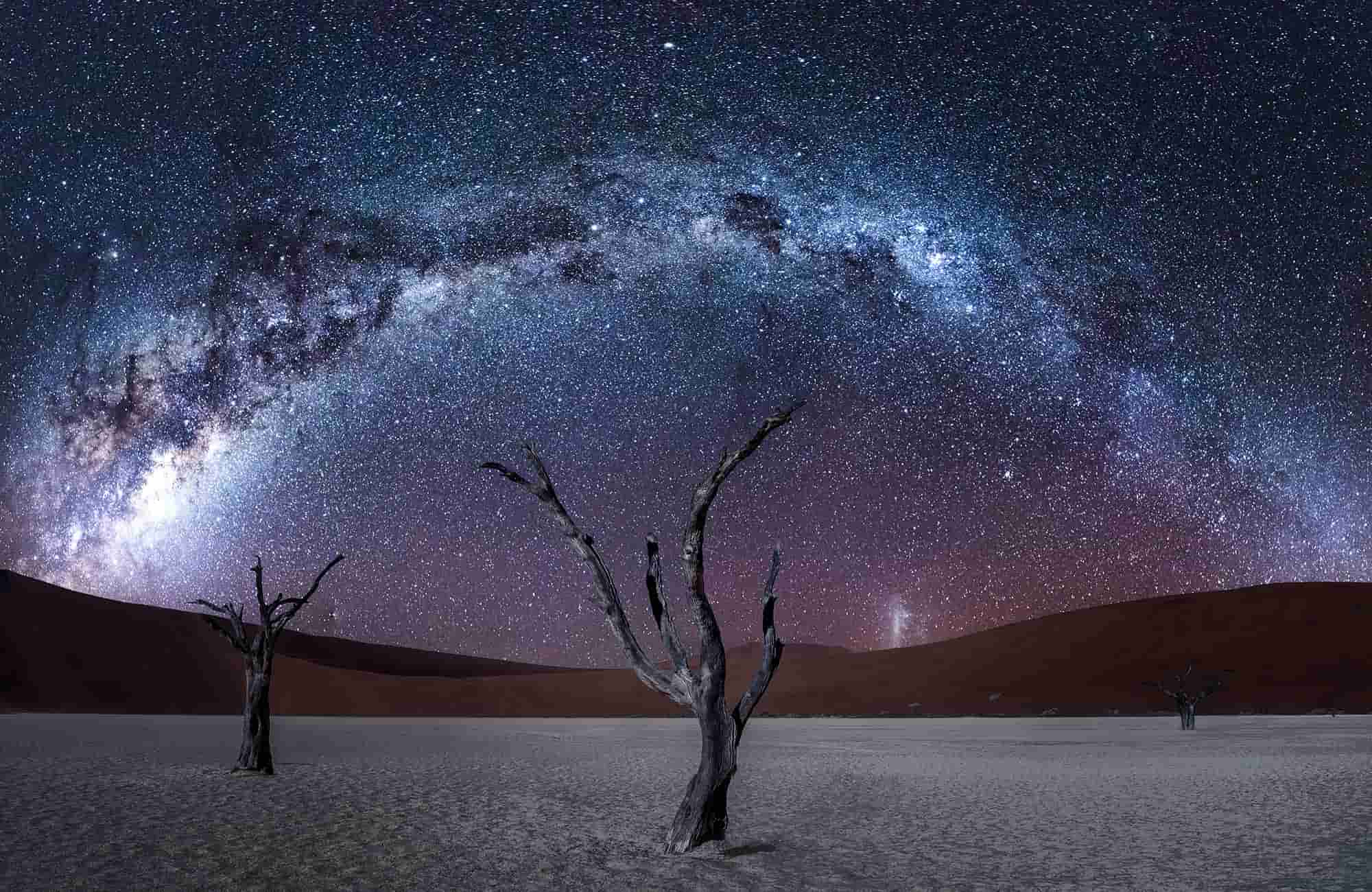 Desert Grace