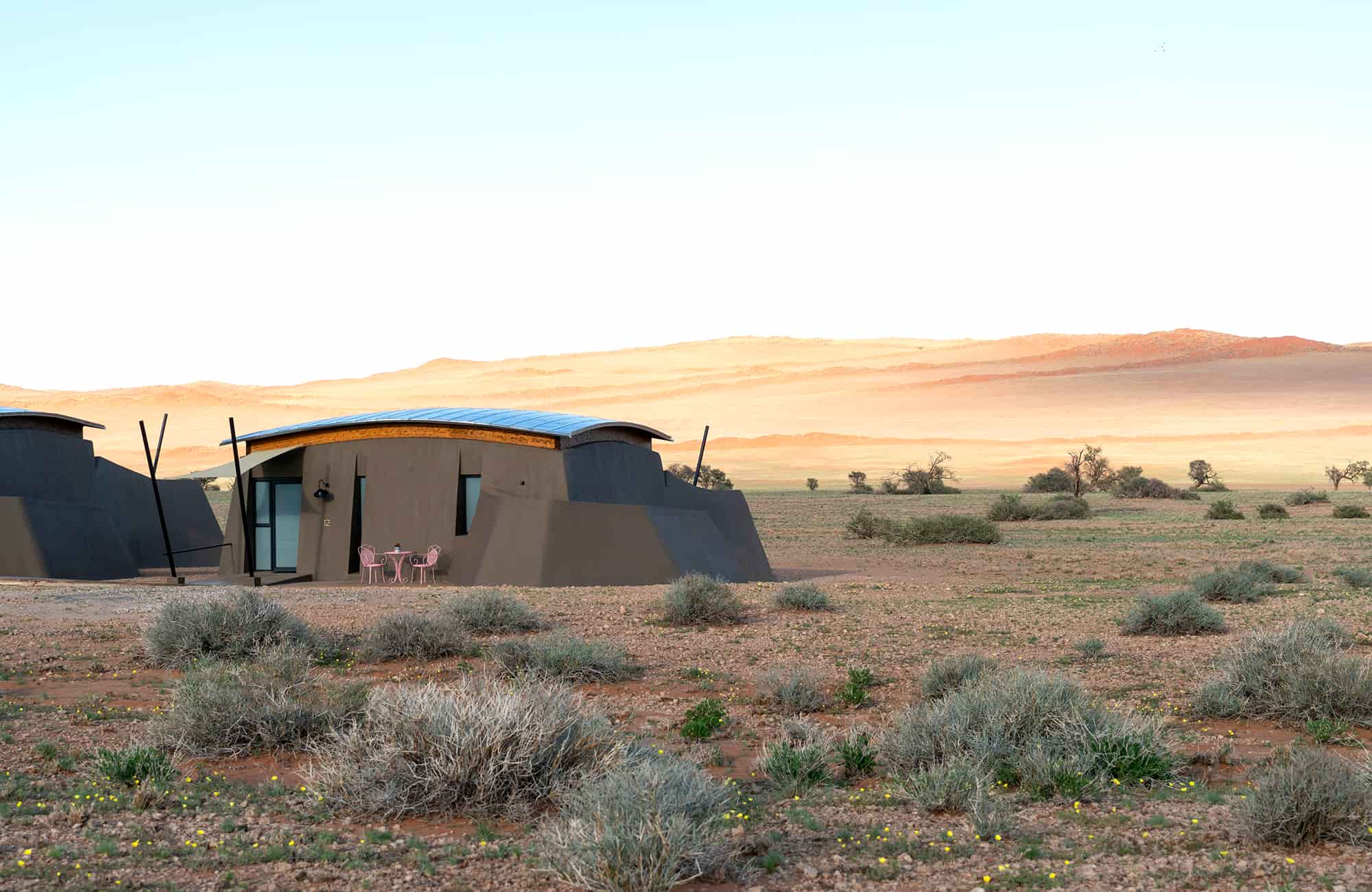 Desert Grace
