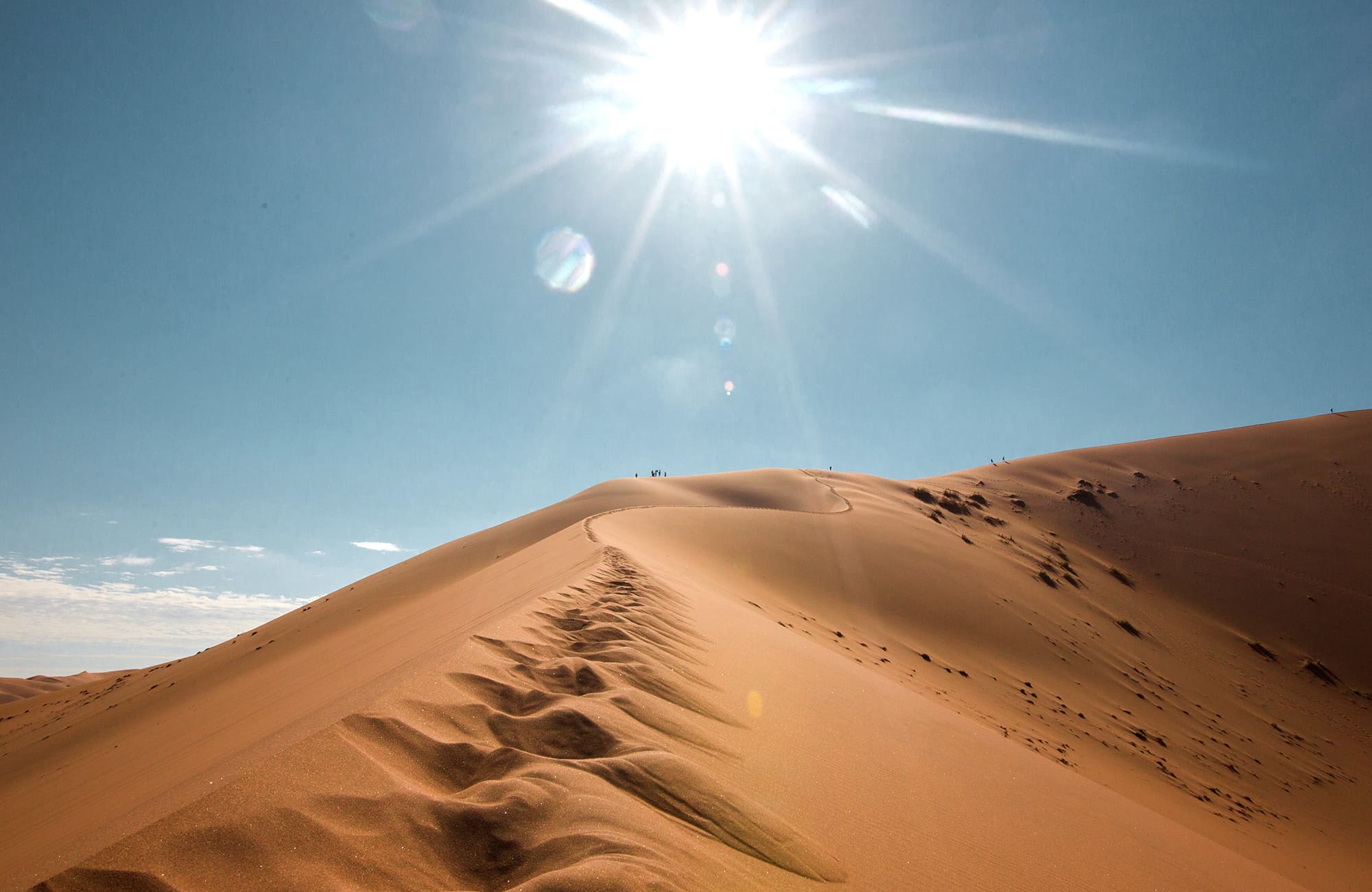 Desert Grace