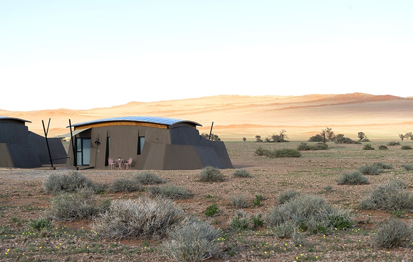 The Desert Grace