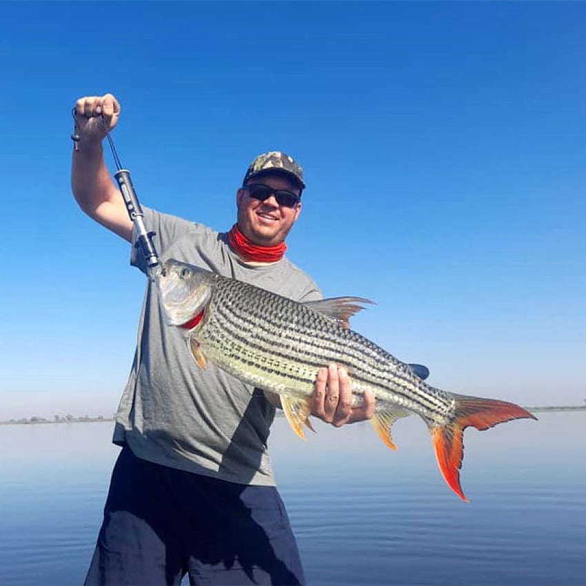 Tigerfish, Namibia