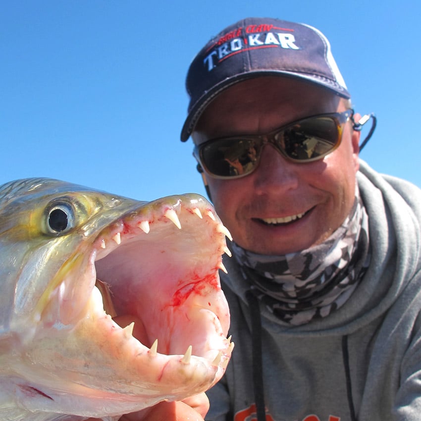 Tigerfish, Namibia
