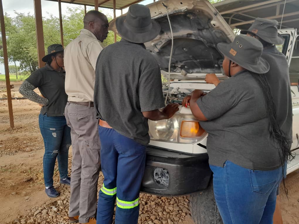 Learning and Development at Gondwana Collection Namibia