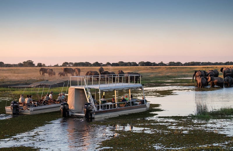 Zambezi Experience (9)